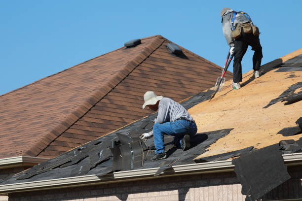 Best Metal Roofing Installation  in De Pue, IL