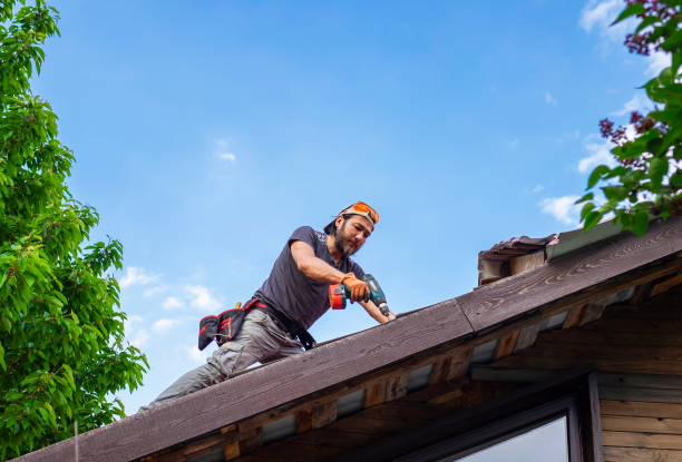 Best Gutter Installation and Repair  in De Pue, IL